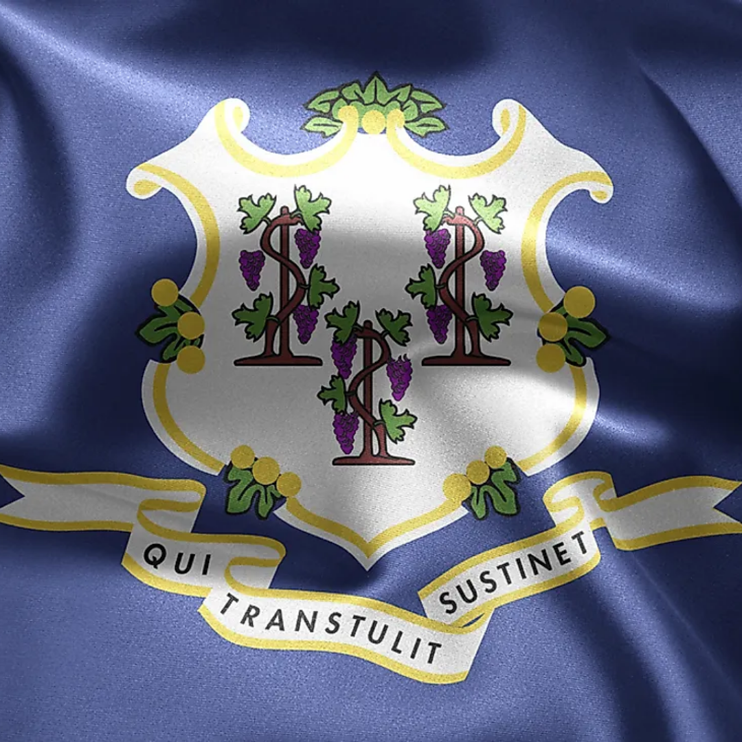 Connecticut Flag