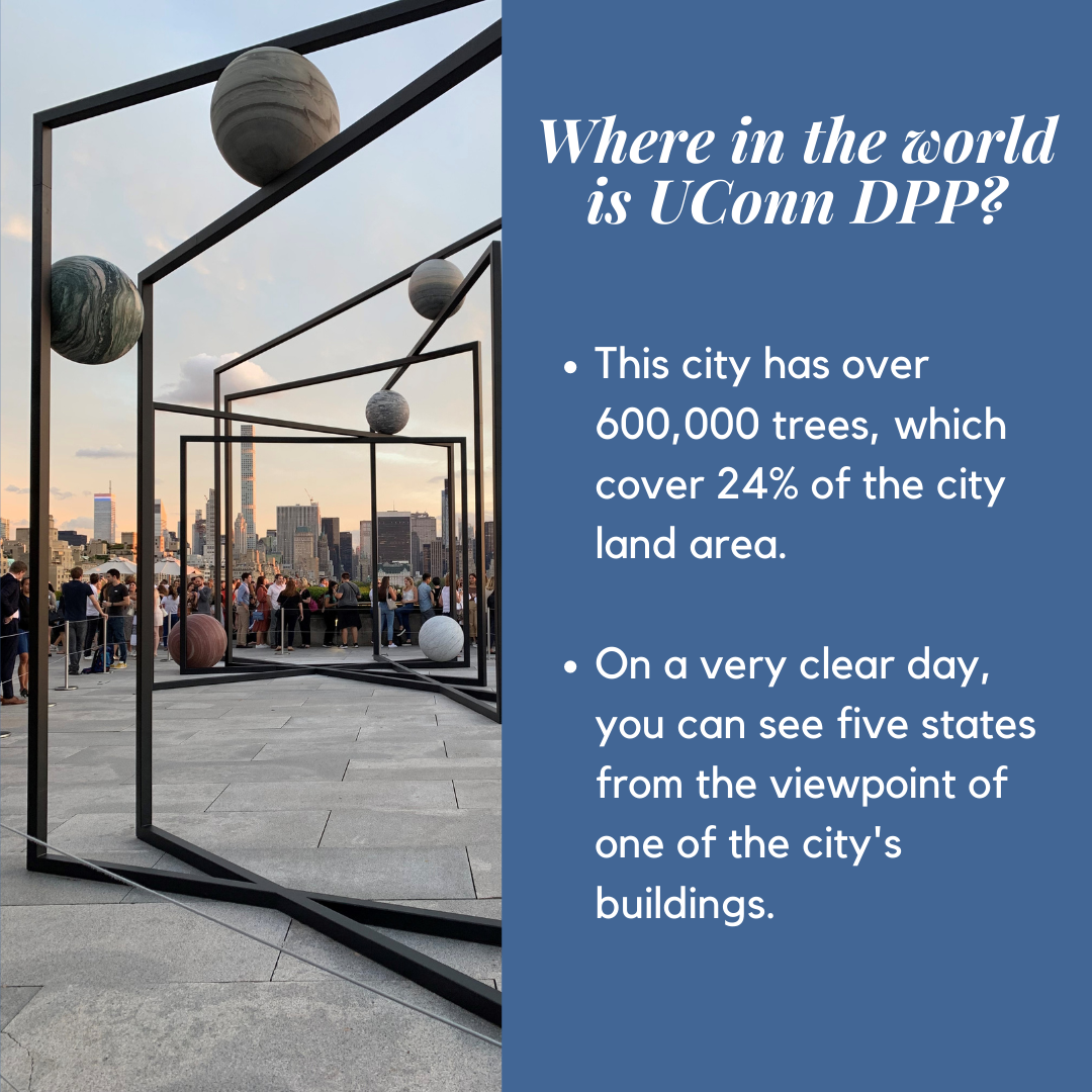 Where in the world is UConn DPP? • This city has over 600,000 trees, which cover 24% of the city land area. • On a very clear day, you can see five states from the viewpoint of one of the city's buildings.